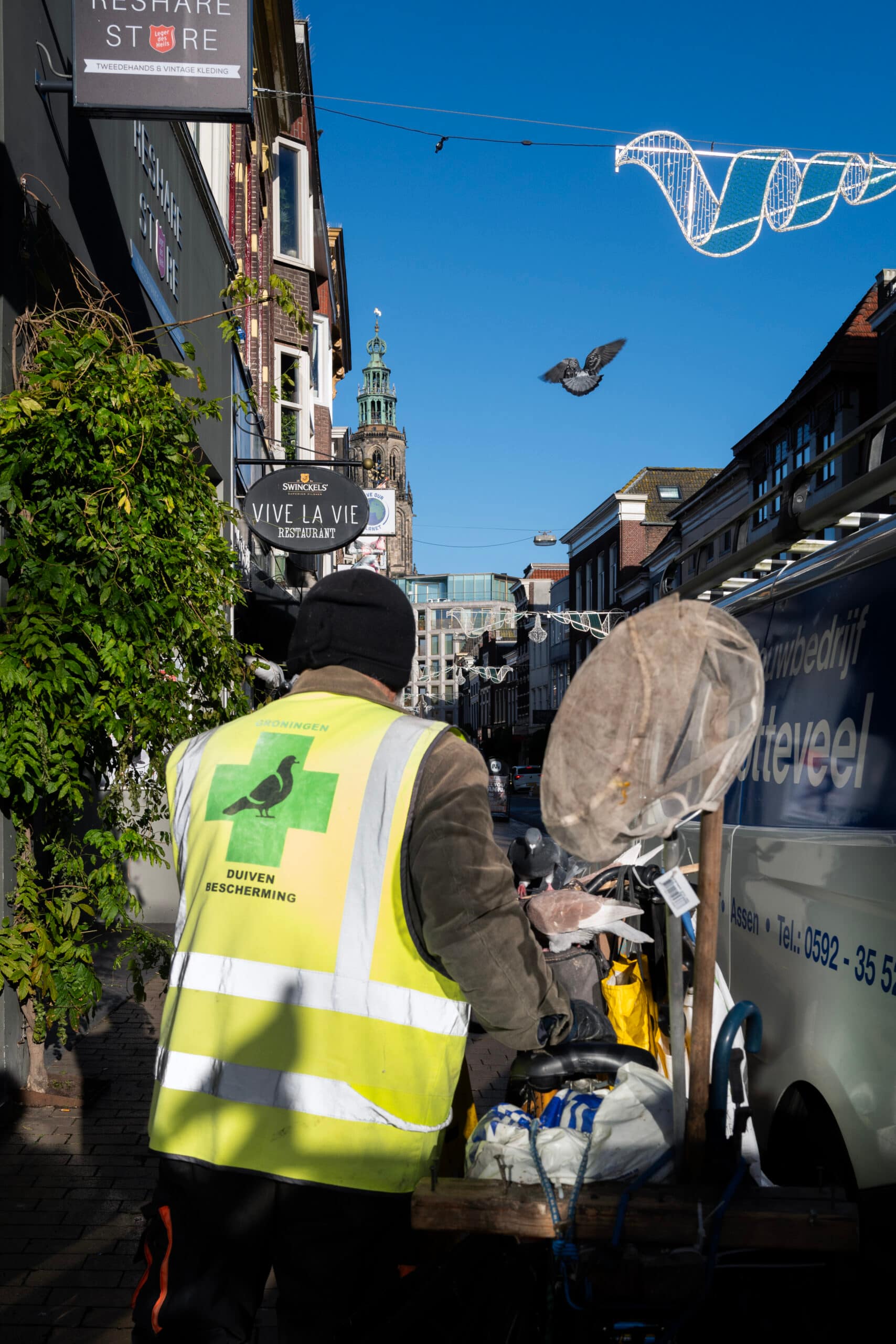 Photoprint 30x45: Pigeon city